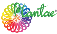 Plantae